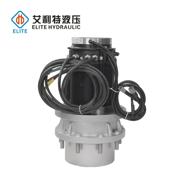 China electric wheel drives